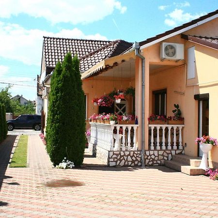 Pensiunea Radena Arad Bagian luar foto
