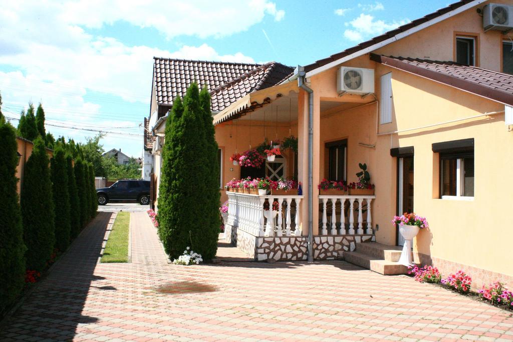 Pensiunea Radena Arad Bagian luar foto