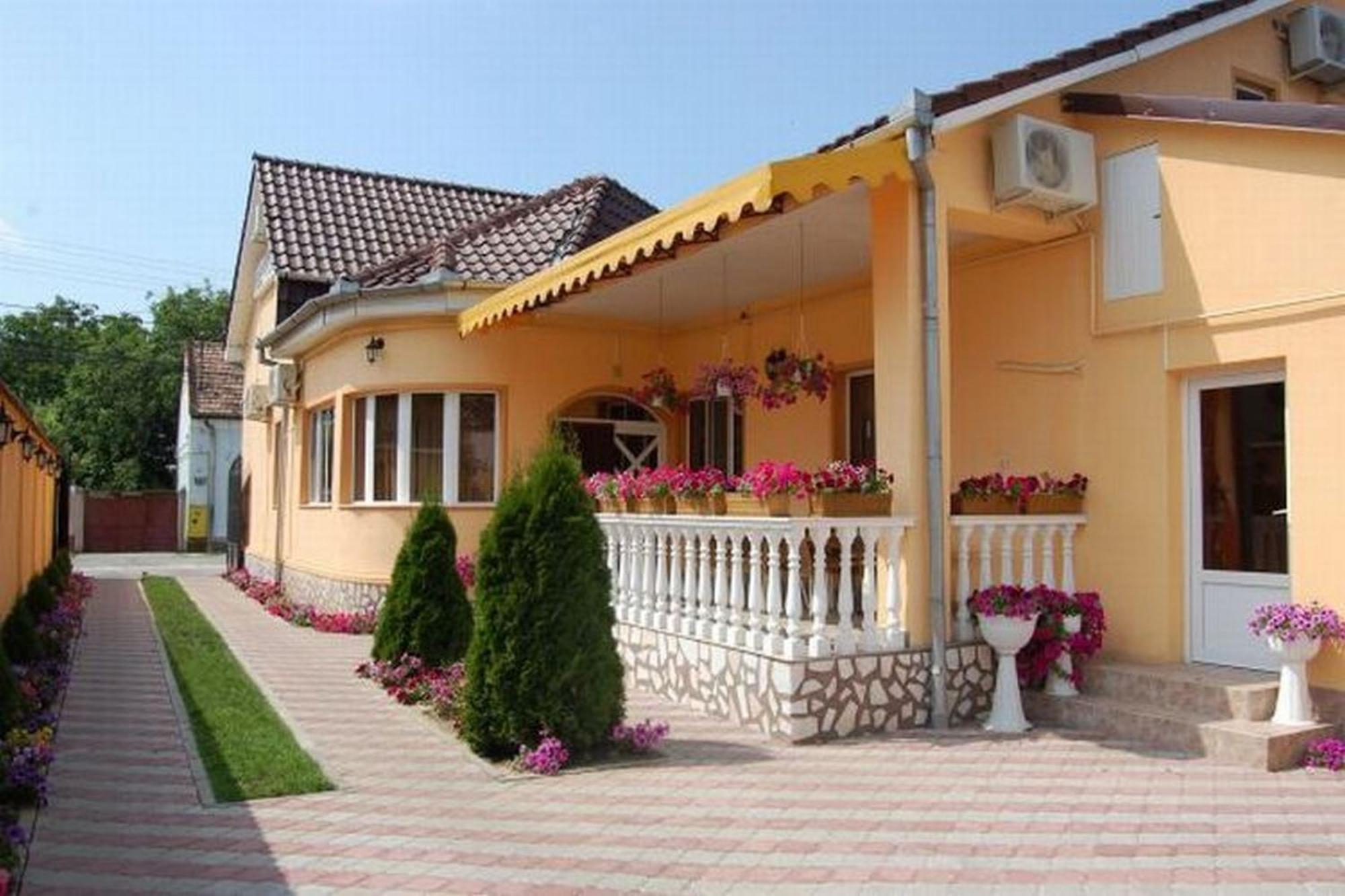 Pensiunea Radena Arad Bagian luar foto